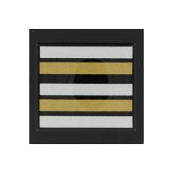 Grade / Galon de Poitrine Gendarmerie D&eacute;partementale Lieutenant Colonel R&eacute;sine