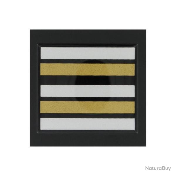 Grade / Galon de Poitrine Gendarmerie D�partementale Lieutenant Colonel R�sine