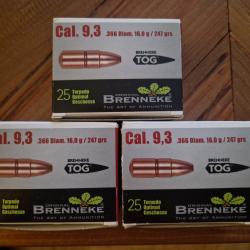 9.3 brenneke TOG 16.0g / 247grs