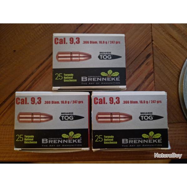 9.3 brenneke TOG 16.0g / 247grs