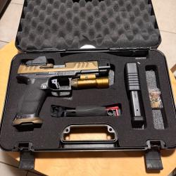 PDP fs or pro sd walther