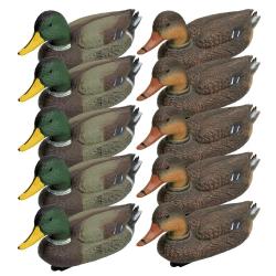 Pack 5 colverts m&acirc;les et 5 femelles