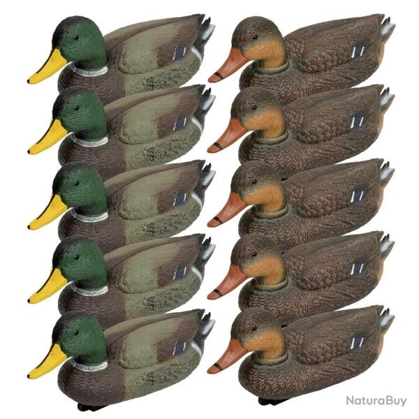 Pack 5 colverts m�les et 5 femelles