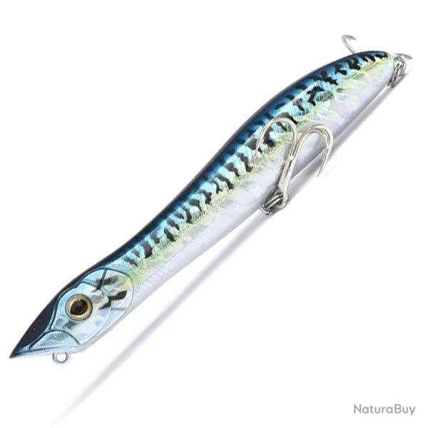Xorus Patchinko 125 Blue Mackerel