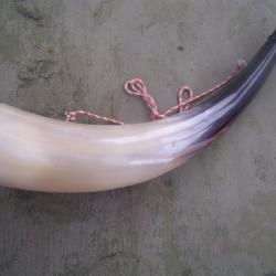 corne d'appel longueur 38 cm
