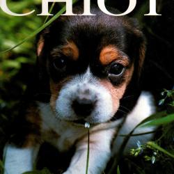 L'encyclop&eacute;die pratique du chiot de Whitehead Sarah