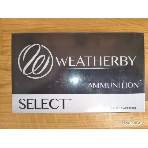 240 Weatherby magnum Select 100 grains