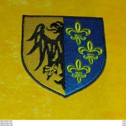 TISSU PATCH : DIVISION CHARLEMAGNE , DIAMETRE 9 CM , BON ETAT VOIR PHOTOS . POUR TOUT RENSEIGNEMENT