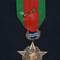 MEDAILLE DE LA PREMIERE ARMEE-DELATTRE DE TASSIGNY-LIBERATION- GUERRE 1939/1945