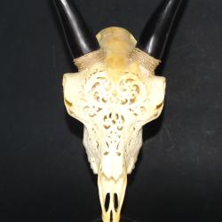 Crane de ch&egrave;vre sculpt&eacute; sur socle.