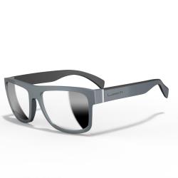 Lunettes Polarisantes Leech Street Titanium