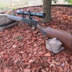 carabine 22lr semi auto MARLIN 49DL
