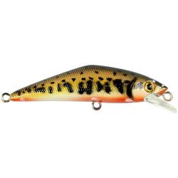 Poisson nageur SMITH D Contact 50 SP V2