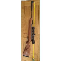 Carabine &agrave; plomb Stoeger x20 joules4,5.Lunette Alpen 4x32