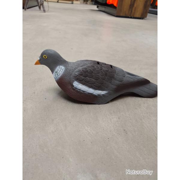 Lot de 10 demi coque pigeon