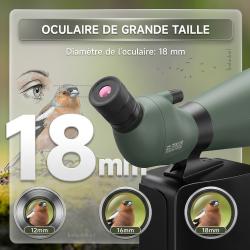 Longue-vue Svbony SV28A 25-75x100 pour Tir &agrave; l'arc et Armes