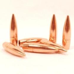 Ogives PPU Cal. 303 .311 174grs FMJBT - sachet de 50 unit&eacute;s