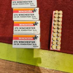 Cartouches 375 Winchester PowerPoint 200gr