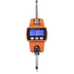 Peson Balance Digitale VERNEY CARRON