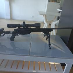 Carabine ata alr 308