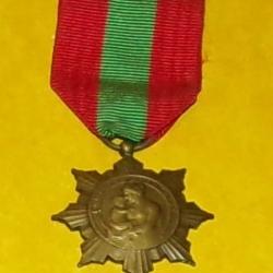 MEDAILLE : LA PATRIE RECONNAISSANTE ,MINISTERE DE LA SANTE PUBLIQUE , ECHELON BRONZE , REPUBLIQUE FR