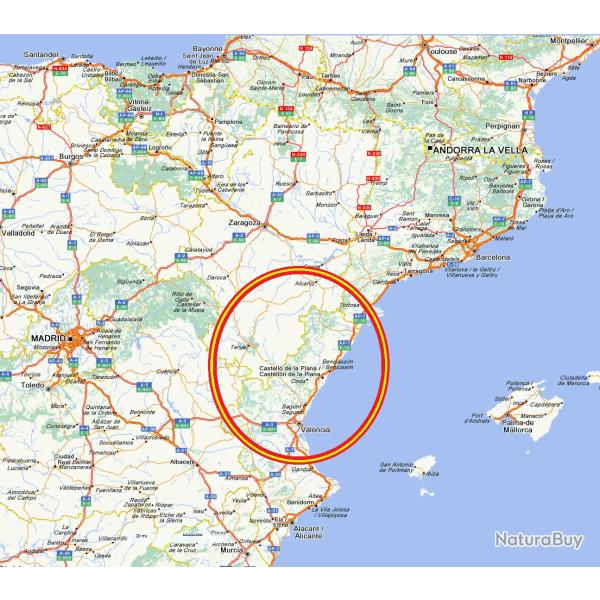 " IBEX DE B�CEITE "