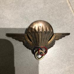 Brevet moniteur parachutiste