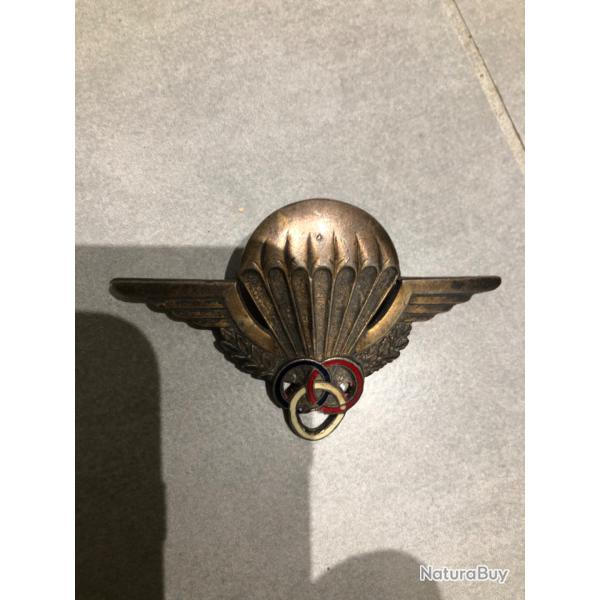 Brevet moniteur parachutiste