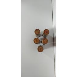 5 cartouches pleines en laiton calibre 16