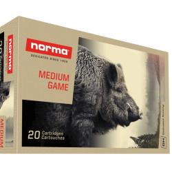 CARTOUCHES NORMA 300 WIN MAG PLASTIC POINT 180gr x20