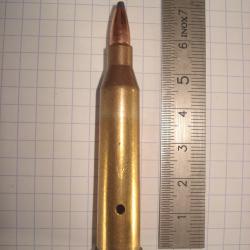 une cartouche de 5,6x57R, neutralis&eacute;e, &eacute;tui perc&eacute;, amorce percut&eacute;e, ogive demi blind&eacute;e