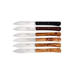 Coffret 6 couteaux Panach&eacute; Coutelier de Thiers Zen Table