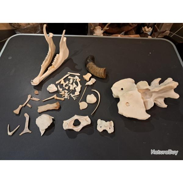 Lot de curiosit�s diverses #0303