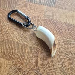 porte clef  dent de  sanglier