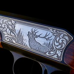 Plaquette pour Blaser r93 custom