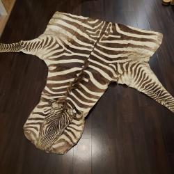 Peau z&eacute;bre demi corps