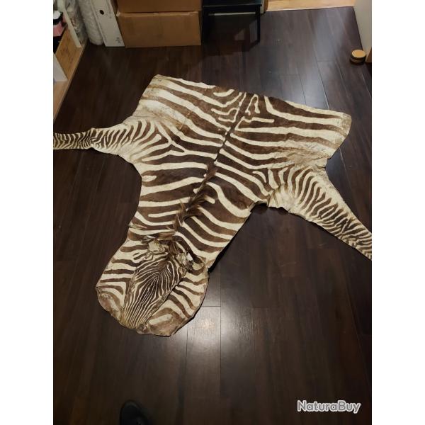 Peau z�bre demi corps