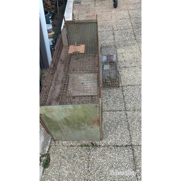 Vend cages pi�geage et pi�ge lacet