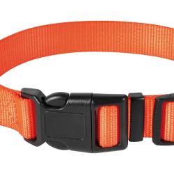 Collier Stepland Orange Polyester Pour Chien-S/M