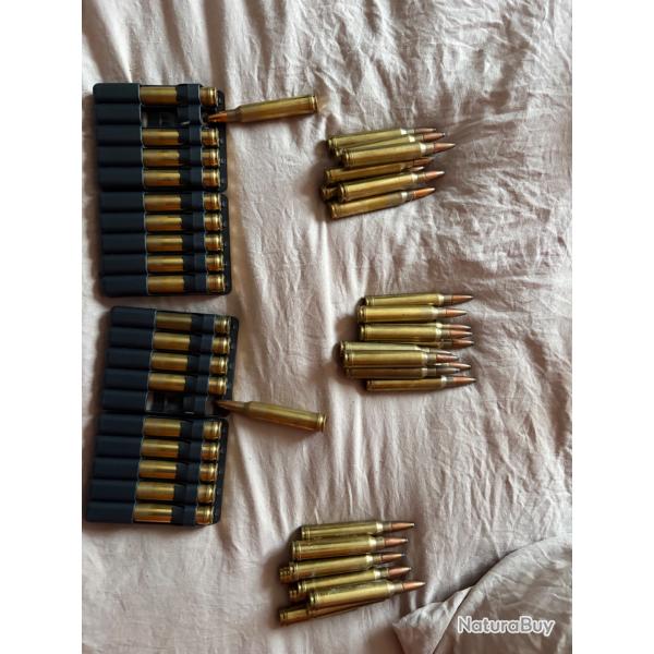 Cartouche 300 Winchester, Magnum