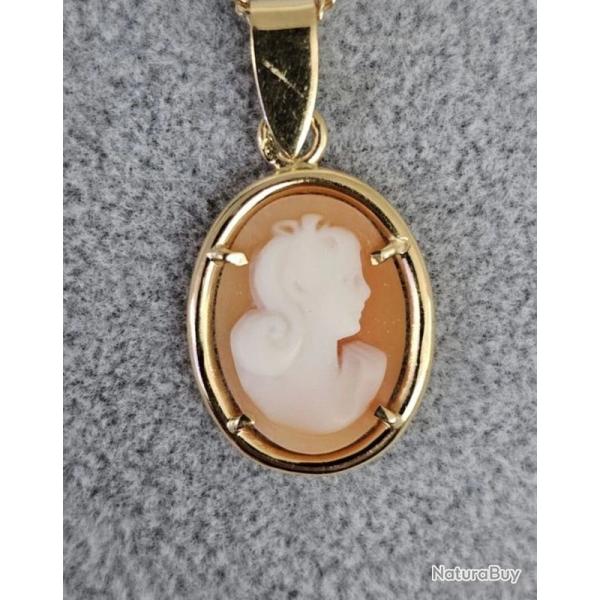 Pendentif Cam�e serti en or 18 carats