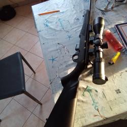 Vend petit ensemble 17 hmr avec lunette 4-16x50 super pr&eacute;cise