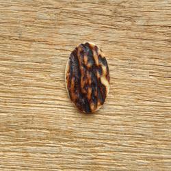 Calotte en bois de cerf