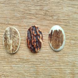 Calotte en bois de cerf de Sologne