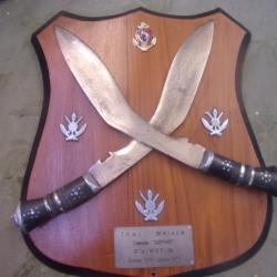 tableau d'honneur T. F. A I 5emme RIAOM compagnie GUEPARD