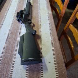 carabine 222rem rossi monocoup avec point rouge