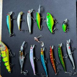 Lot de leurre dur