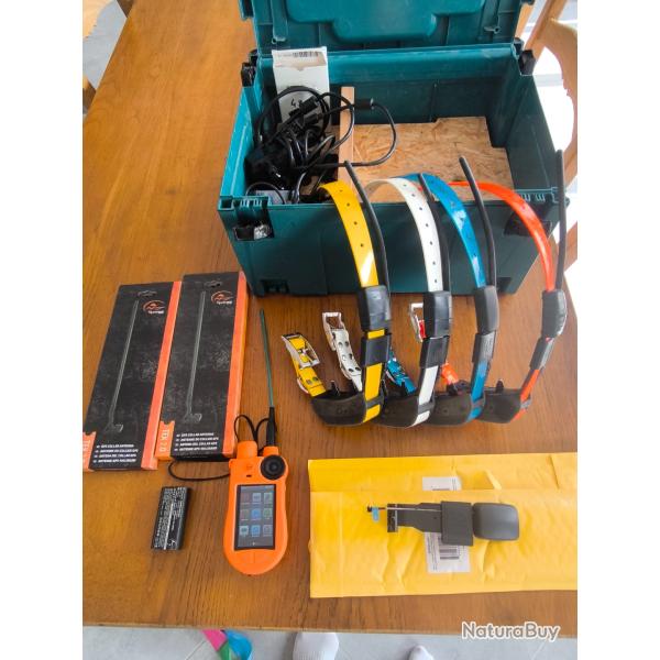 Collier gps sportdog tek 2