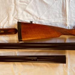 CHAPUIS PROGRESS CAL 12 + canon balle