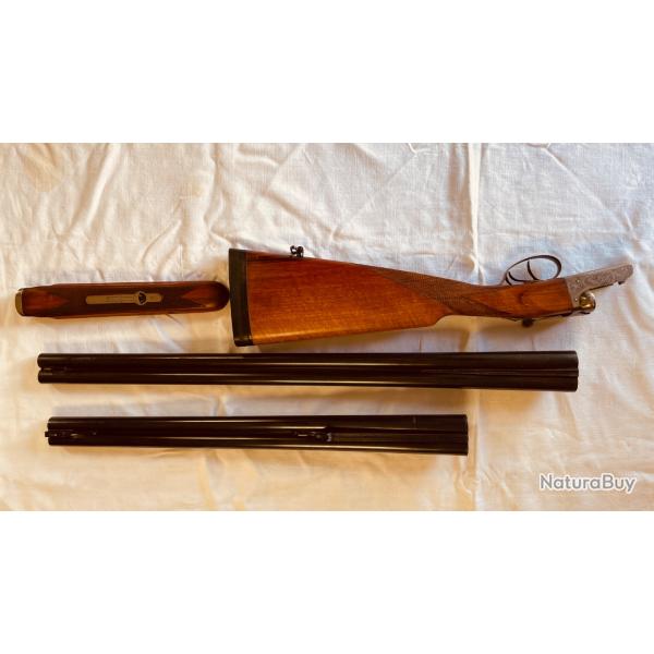 CHAPUIS PROGRESS CAL 12 + canon balle